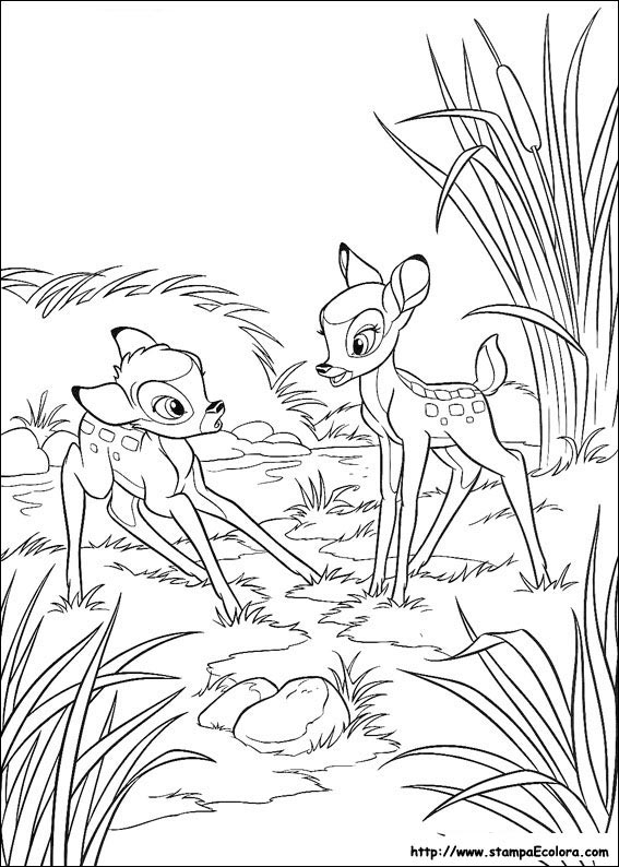 disegni de bambi