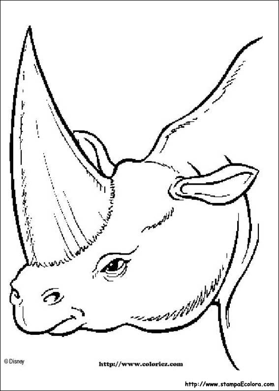 Disegni Dinosauri