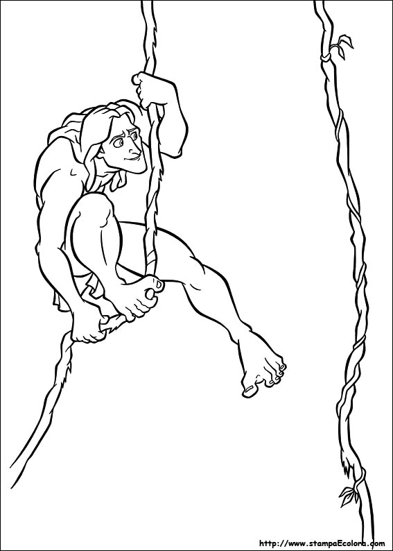 Disegni Tarzan