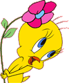 Disegno di Tweety