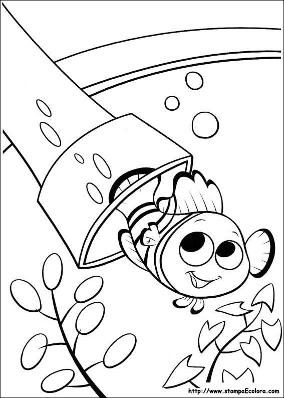 Disegni Alla ricerca di Nemo