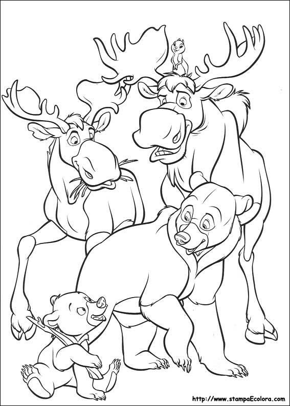 Disegni Koda, Fratello Orso