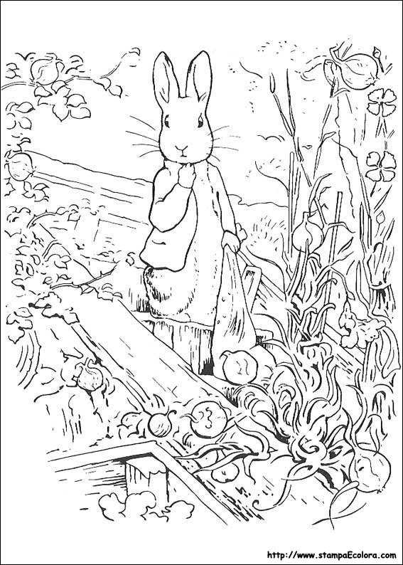 Disegni Peter Coniglio