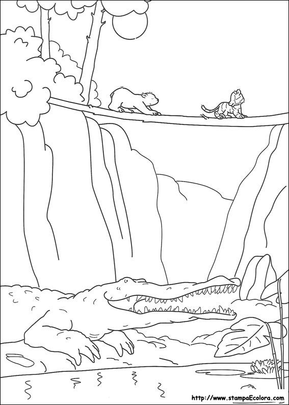 Disegni Piuma il piccolo Orsetto Polare