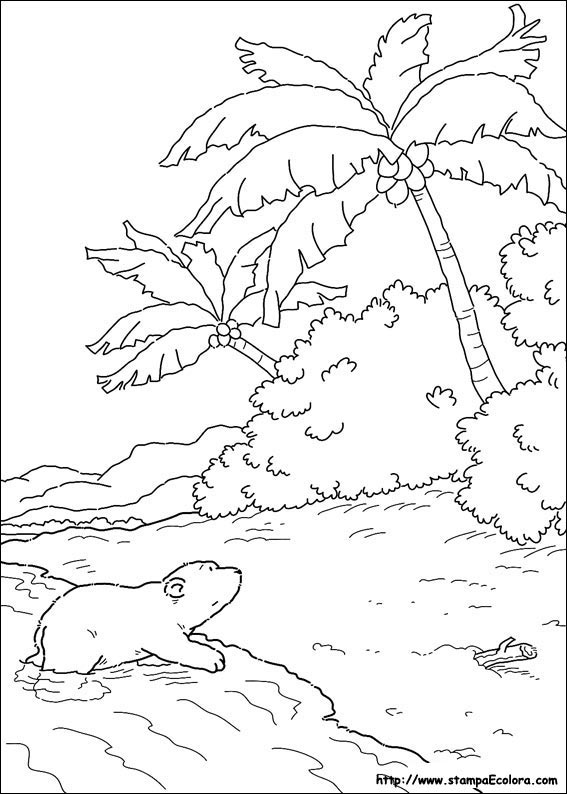 Disegni Piuma il piccolo Orsetto Polare