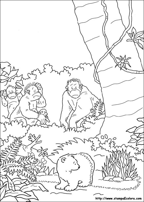 Disegni Piuma il piccolo Orsetto Polare