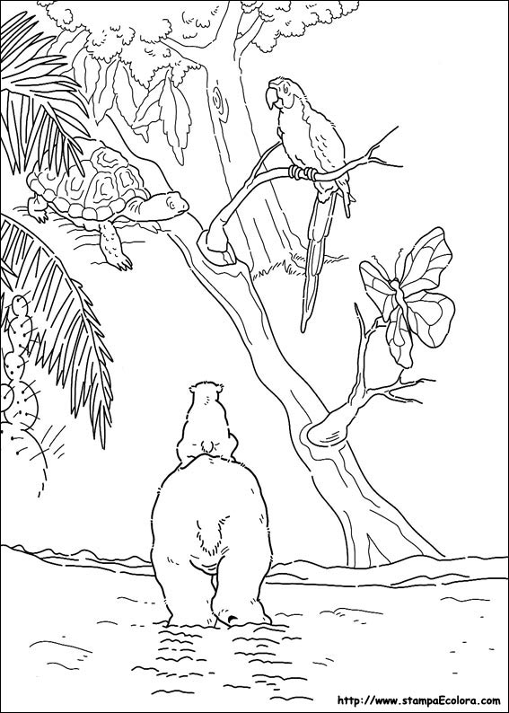Disegni Piuma il piccolo Orsetto Polare