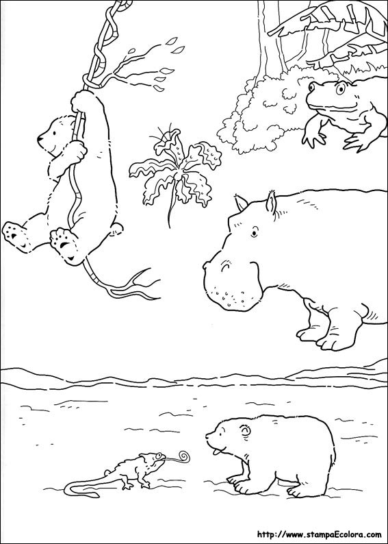 Disegni Piuma il piccolo Orsetto Polare