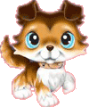 Littlest Pet Shop da colorare